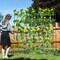 Garden Cucumber Trellis with Adjustable U-Shaped Frame and PE-Coated Metal